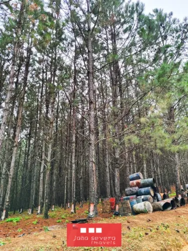 Fazenda para Venda em Itapetininga