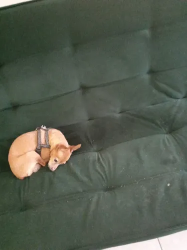 Sofa cama 3 lugares