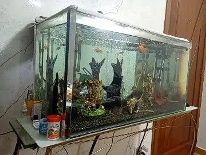 Aquário 120 Litros 