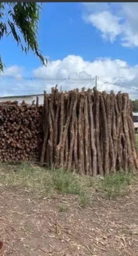 Estaca do sabiá