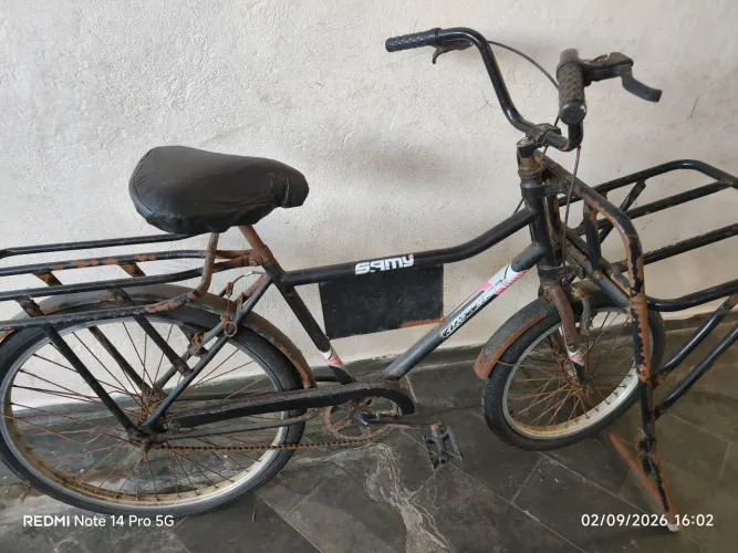 Bicicleta cargueira