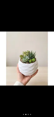 Vaso Decorativo Geométrico - Frete Grátis - Moderno Organizador Porta Objetos