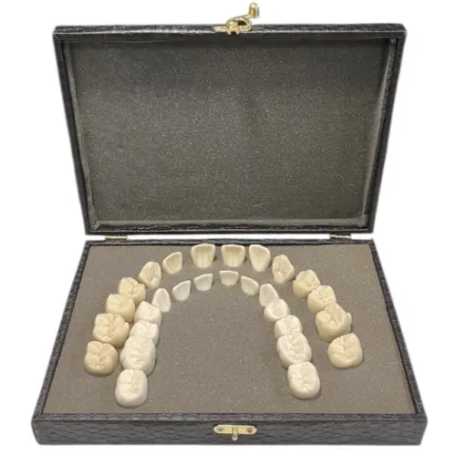 Estojo com Dentes Macromodelos Semi Novo