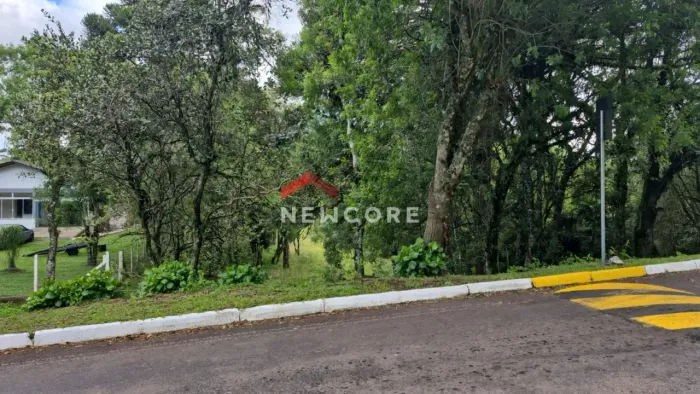 Lote em Rua Bracatinga - Colinas - São Francisco de Paula/RS