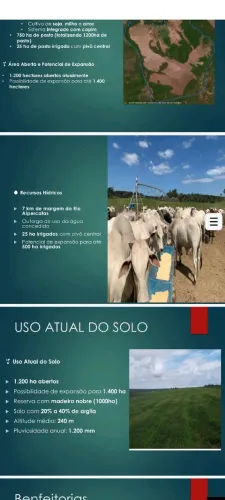 Vendo excelente fazenda