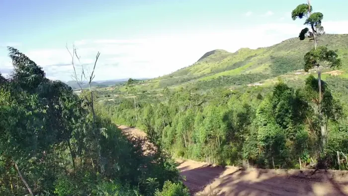 São Roque: Oportunidade Única de Investimento em Lotes de 1.000 m²!Dentro da Rota do Vinho