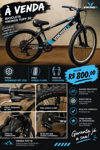 Bicicleta 
