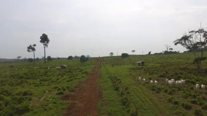 Vendo!!! Uma fazenda de 3.863 hectares na região de Apiacás no MT