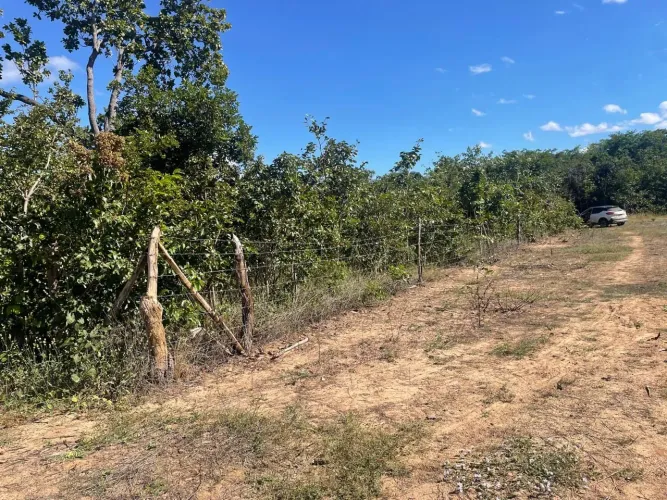 Terreno Pov Gameleira 