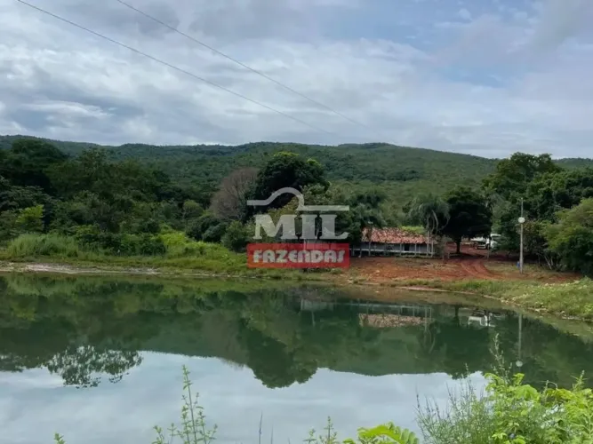 Fazenda 205 alqueires ( 992 hectares) Barro alto - GO