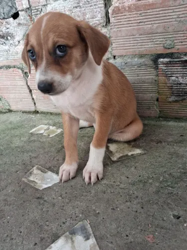 Doação