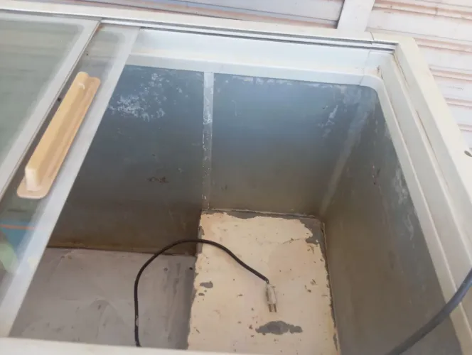 Freezer horizontal
