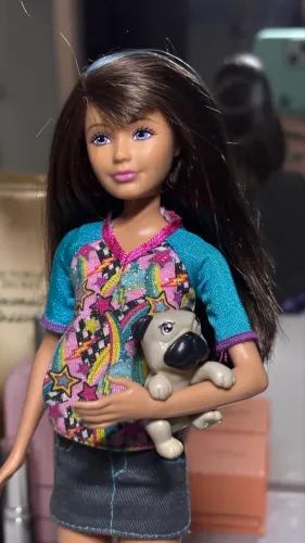 Boneca Barbie Skipper Mattel