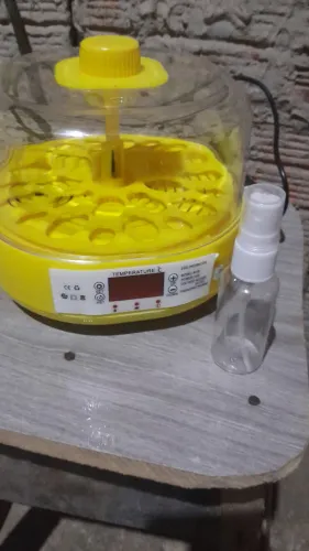 Chocadeira 