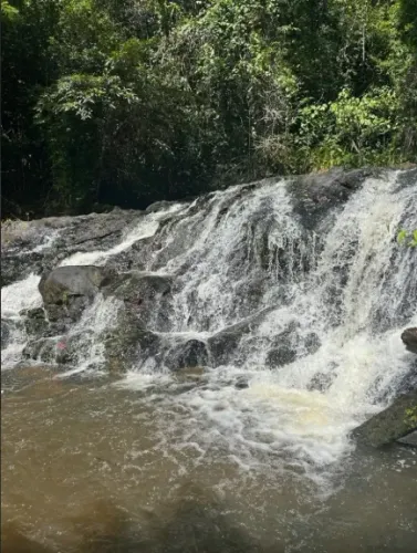 Fazenda com 5 quartos à Venda, 800000 m² em Ilhéus/BA