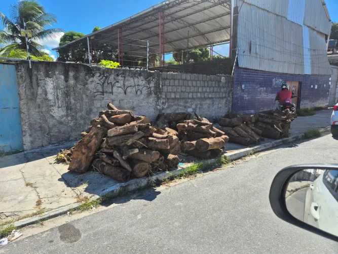 Vendo Troncos de Madeira