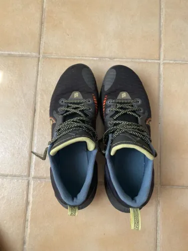 Nike Giannis Immortality