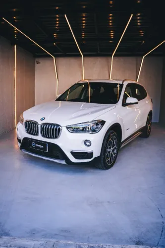 BMW X1 S DRIVE ACTIVE FLEX 2017