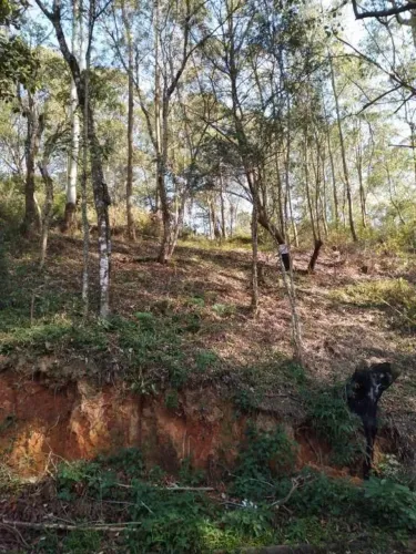 Terreno à venda em Santana de Parnaíba, Parque Alvorada