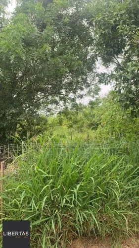 Terreno em Belém Novo