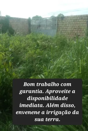 serviço de limpeza de quintais e terrenos