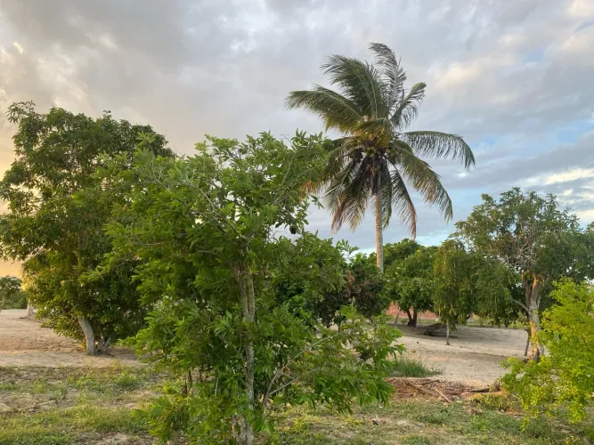 Localização privilegiada para venda na zona Rual de Santa Bárbara