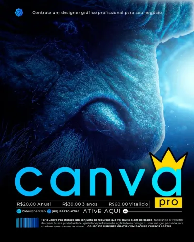 Canva pro / designer gráfico
