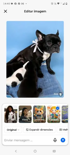Cachorro