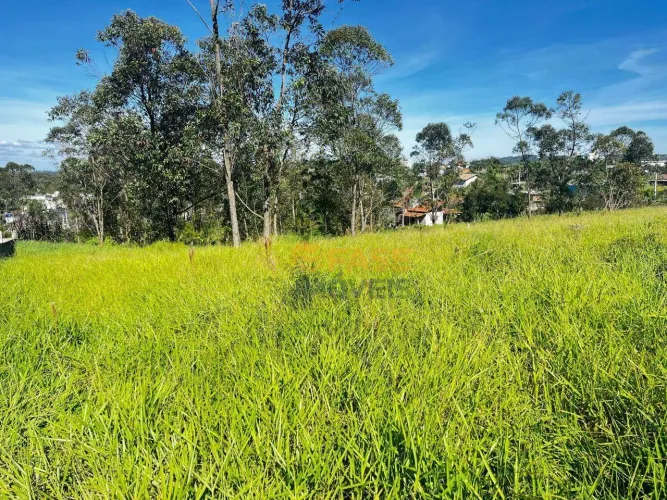 Terreno à venda, 559 m² por R$ 180.000 - Laranjinha - Criciúma/SC