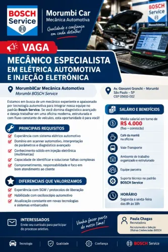 Mecânico automotivo