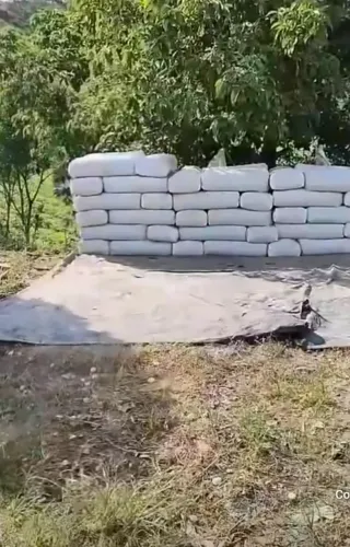 SILO SILAGEM CAPIM BRS CAPIAÇU A PRONTA ENTREGA