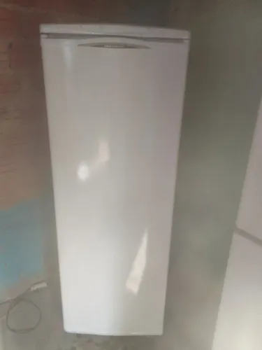 Freezer vertical