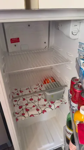 Tchau, geladeirinha guerreira! (Electrolux Duplex 260L - 220V)