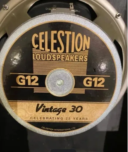 Caixa guitarra 1x12 celestion v30