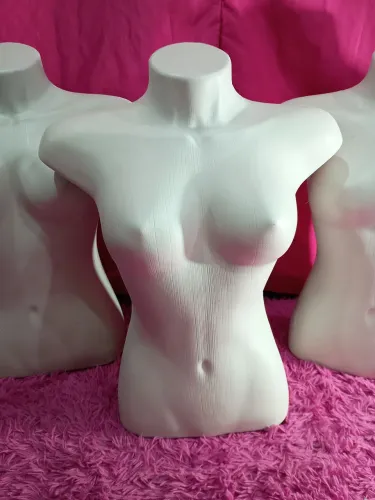Manequim de Busto Feminino