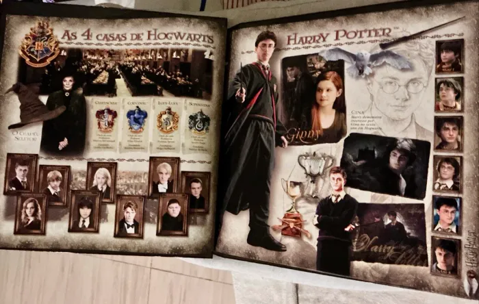 PÔSTER BOOK ; ÁLBUM FICHÁRIO HARRY POTTER
