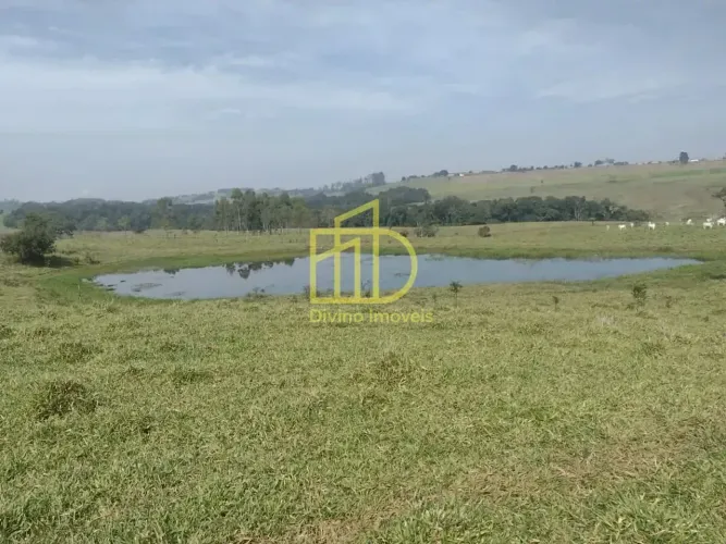 Sítio à venda, 12 Alqueires por R$ 2.500.000 - Área Rural - Itapetininga/SP