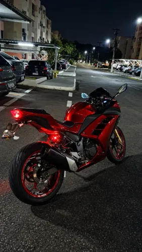 Kawasaki Ninja 300