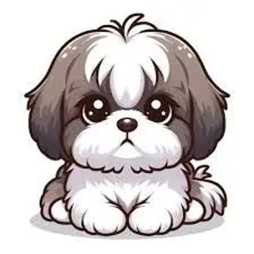 Tro/co casal BB de shih tzu