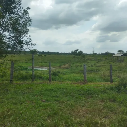 Vendo Fazenda, próximo a Br toda documentada- Castanhal- Pará