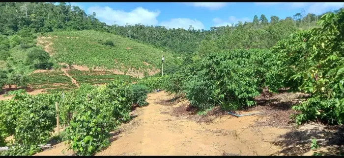oportunida única em Piabanha rio bananal