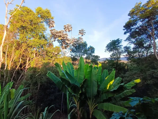 Casa 4 Qts, 2Sts, Lote 1.800m2, A/C 220m2,Fazenda do Engenho, Macacos, Nova Lima - MG