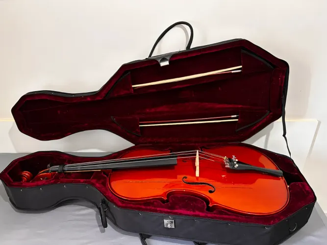 Violoncelo 4/4 Michael VOM40