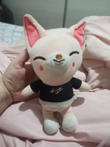 Pelúcia mascote do Stray kids
