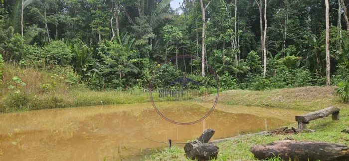 VENDO CHÁCARA SENTIDO HUMAITÁ - BR 319 Km 27