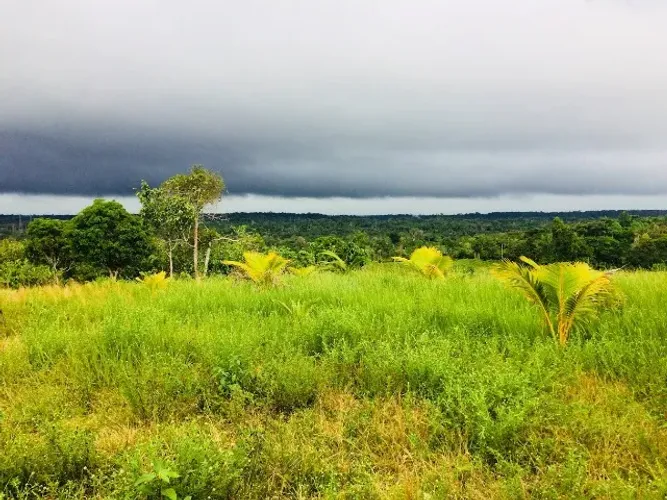 TERRENO 20X200 NO BRASILEIRINHO