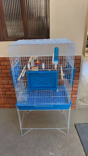 Viveiro (gaiola) para pássaros com brinquedos, playground, comedouro e bebedouro 