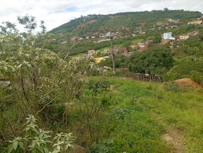 Vendo 2 terrenos