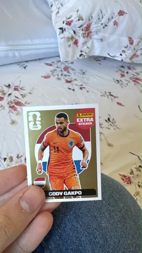 Cody gakpo ouro