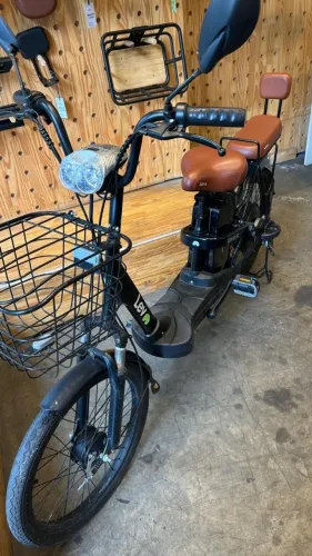 E bike S